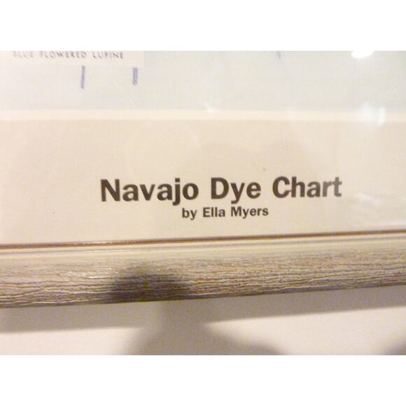 Vintage Framed Navajo Plant Dye Chart Print Ella Myers - Picture 4 of 9